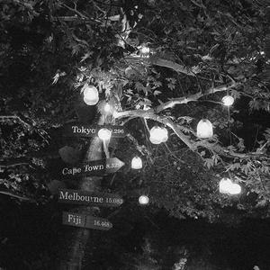 土耳其美女性生活强奸强暴伦理视频
