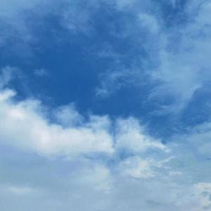 土耳其美女性生活强奸强暴伦理视频
