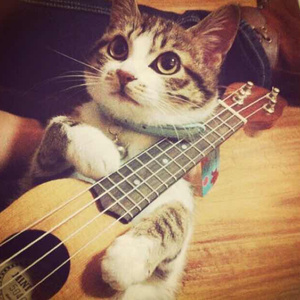 土耳其美女性生活强奸强暴伦理视频
